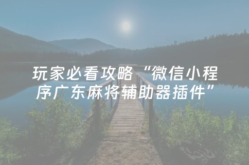 玩家必看攻略“微信小程序广东麻将辅助器插件”（做弊器软件下载)