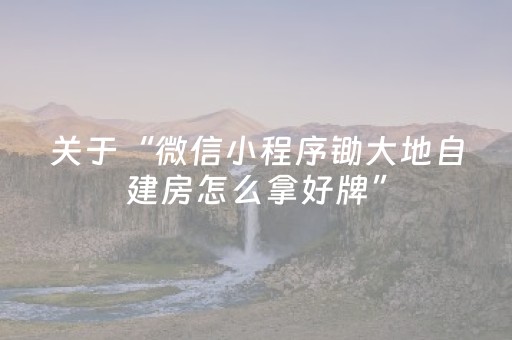 关于“微信小程序锄大地自建房怎么拿好牌”（攻略插件)