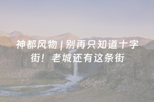 黑料“麻将控牌神器”（专用神器)