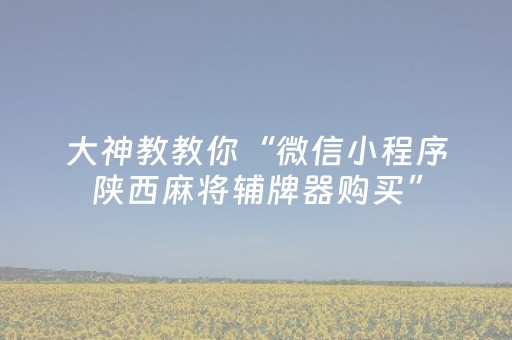 大神教教你“微信小程序陕西麻将辅牌器购买”（技巧和打好牌方法)