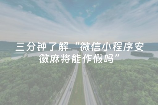 三分钟了解“微信小程序安徽麻将能作假吗”（辅牌器插件购买)