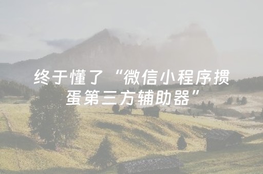 终于懂了“微信小程序掼蛋第三方辅助器”（有什么规律)