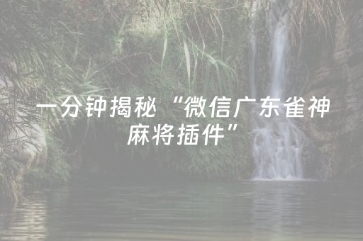 安装程序教程“微信小程序湖南麻将助赢神器购买”（辅助神器免费)
