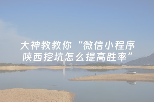 大神教教你“微信小程序陕西挖坑怎么提高胜率”（开挂神器下载)