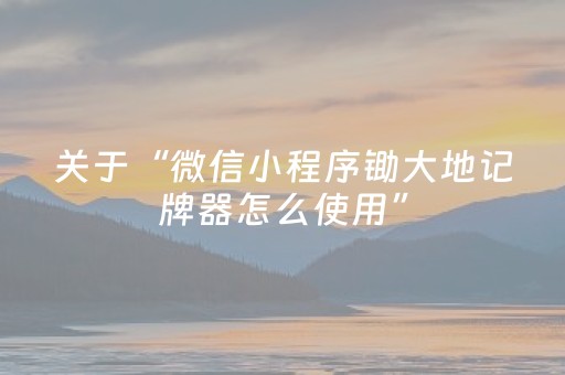 关于“微信小程序锄大地记牌器怎么使用”（软挂神器)
