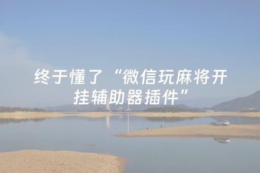终于懂了“微信玩麻将开挂辅助器插件”（提高胜率技巧)
