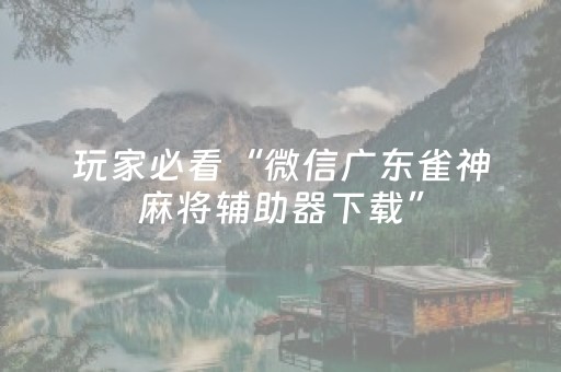 玩家必看“微信广东雀神麻将辅助器下载”（技巧和打好牌方法)