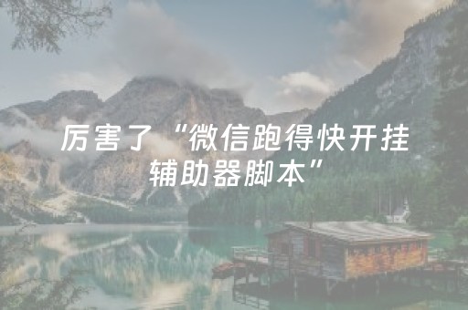 厉害了“微信跑得快开挂辅助器脚本”（神器通用版)