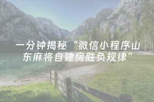 一分钟揭秘“微信小程序山东麻将自建房胜负规律”（挂件神器)