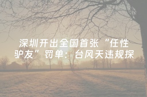玩家必备攻略“麻将app骗局大揭秘”（赢的技巧规律)