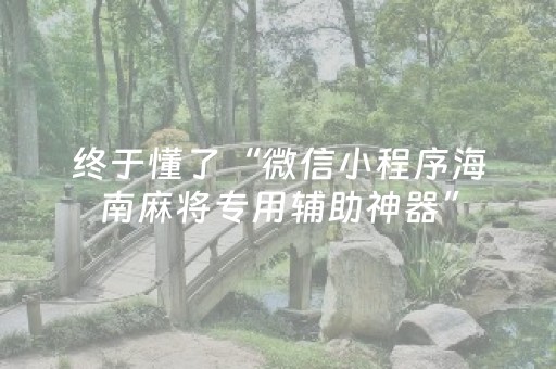 终于懂了“微信小程序海南麻将专用辅助神器”（辅助软件)