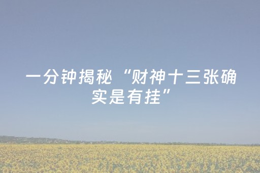 一分钟揭秘“财神十三张确实是有挂”（开挂辅助插件)