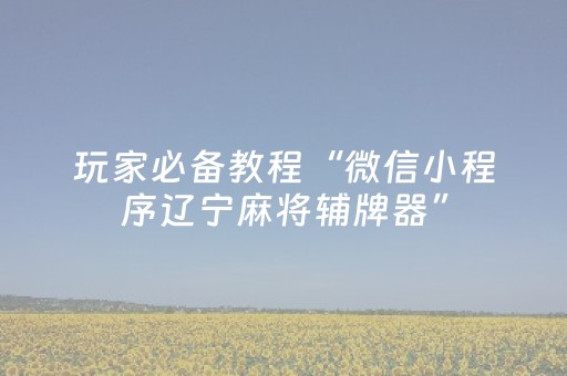 玩家必备教程“微信小程序辽宁麻将辅牌器”（辅助器插件)