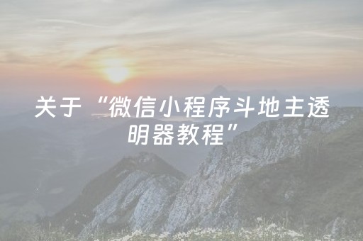 关于“微信小程序斗地主透明器教程”（做弊器软件下载)