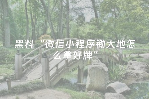 黑料“微信小程序锄大地怎么拿好牌”（有没有猫腻)