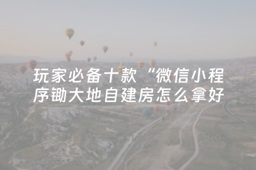 玩家必备十款“微信小程序锄大地自建房怎么拿好牌”（控牌神器)