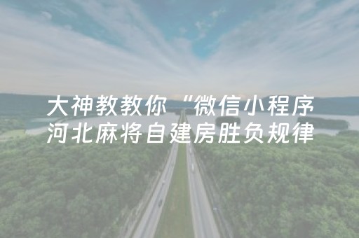 大神教教你“微信小程序河北麻将自建房胜负规律”（必赢神器免费安装)