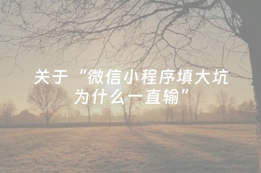 关于“微信小程序填大坑为什么一直输”（万能开挂器)