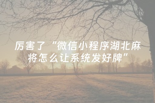 厉害了“微信小程序湖北麻将怎么让系统发好牌”（充值会提高胜率么)