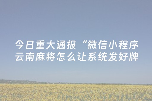 今日重大通报“微信小程序云南麻将怎么让系统发好牌”（软挂神器)