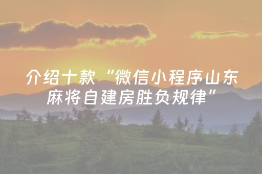 介绍十款“微信小程序山东麻将自建房胜负规律”（软件出售)