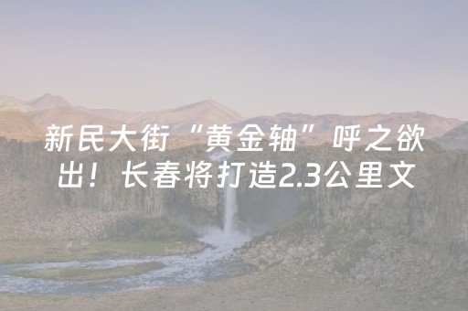 新民大街“黄金轴”呼之欲出！长春将打造2.3公里文旅超级走廊