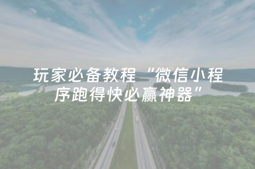 玩家必备教程“微信小程序跑得快必赢神器”（挂件神器)