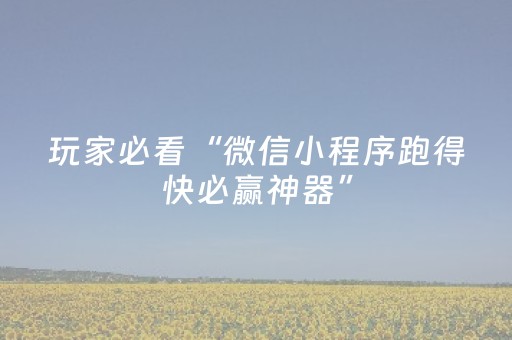 玩家必看“微信小程序跑得快必赢神器”（外辅工具)