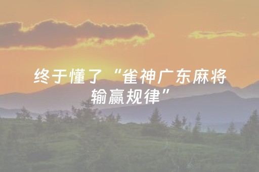 终于懂了“雀神广东麻将输赢规律”（开挂辅助器脚本)