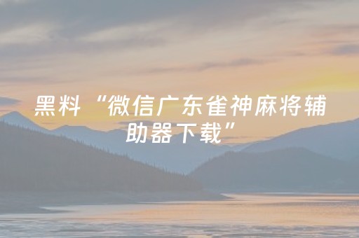 黑料“微信广东雀神麻将辅助器下载”（通用挂软件多少钱)