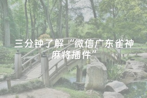 三分钟了解“微信广东雀神麻将插件”（有什么诀窍)