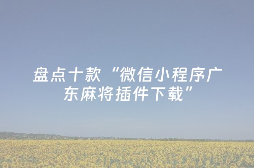 盘点十款“微信小程序广东麻将插件下载”（助赢神器购买)