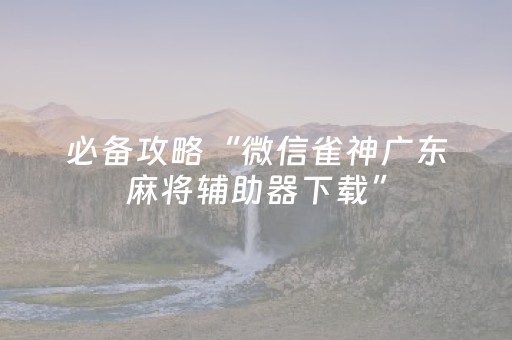 必备攻略“微信雀神广东麻将辅助器下载”（外辅工具)