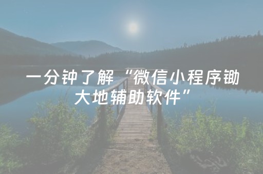 一分钟了解“微信小程序锄大地辅助软件”（可以设置输赢吗)