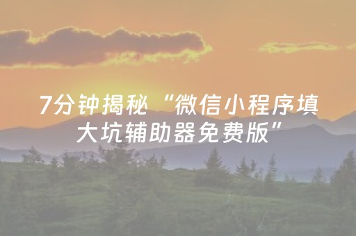 7分钟揭秘“微信小程序填大坑辅助器免费版”（骗局大揭秘)