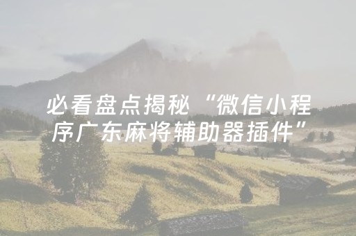 必看盘点揭秘“微信小程序广东麻将辅助器插件”（透明挂辅助器)