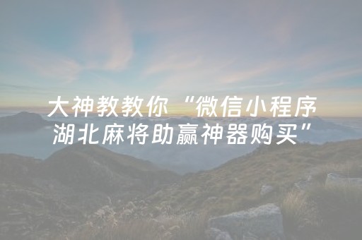 大神教教你“微信小程序湖北麻将助赢神器购买”（万能开挂器)
