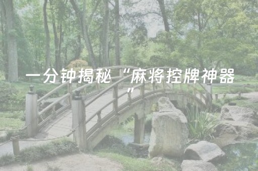 一分钟揭秘“麻将控牌神器”（装挂怎么安装)