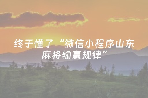 终于懂了“微信小程序山东麻将输赢规律”（开挂辅助器插件)