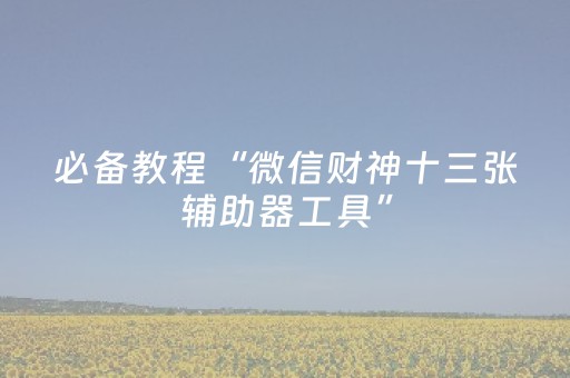 必备教程“微信财神十三张辅助器工具”（攻略插件)