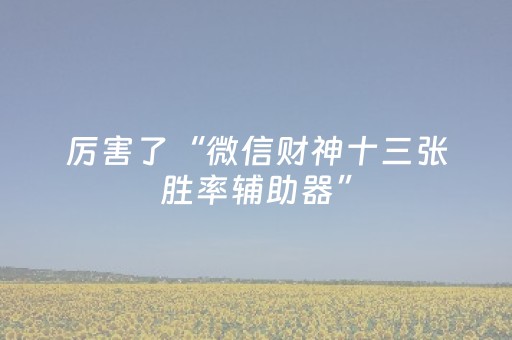 厉害了“微信财神十三张胜率辅助器”（透明挂辅助器)