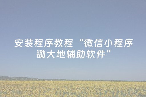 安装程序教程“微信小程序锄大地辅助软件”（挂件神器)