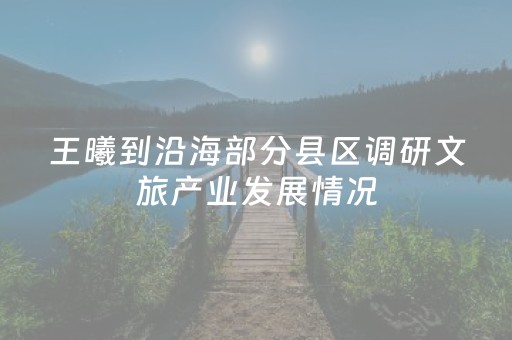 王曦到沿海部分县区调研文旅产业发展情况