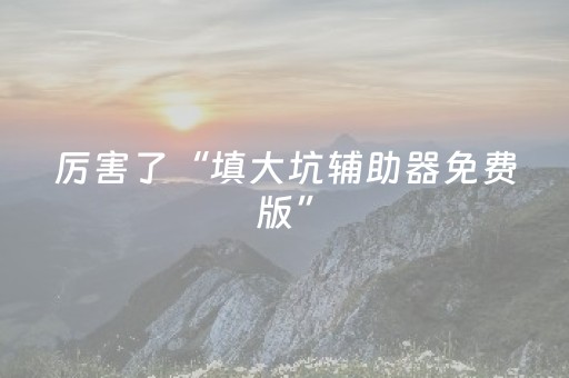 厉害了“填大坑辅助器免费版”（辅助软件)