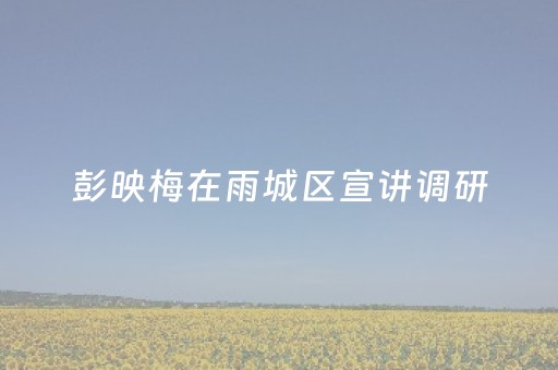 彭映梅在雨城区宣讲调研