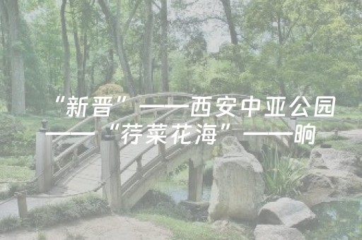 玩家必看“微小程序卡五星免费辅助”（会员会提高胜率吗)