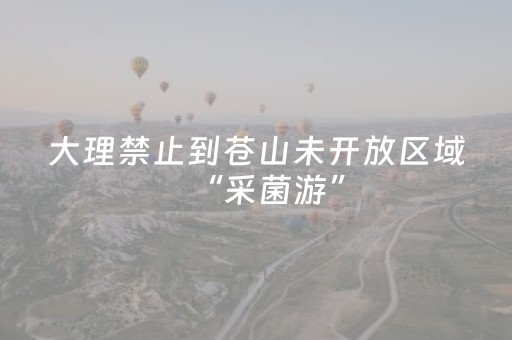 安装程序教程“微小程序麻将怎么让系统给自己好牌”（免费辅助)