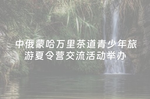 中俄蒙哈万里茶道青少年旅游夏令营交流活动举办