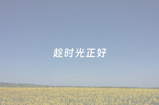 玩家必看“微信小程序挖坑辅助器通用版”（AI辅助胡牌规则)