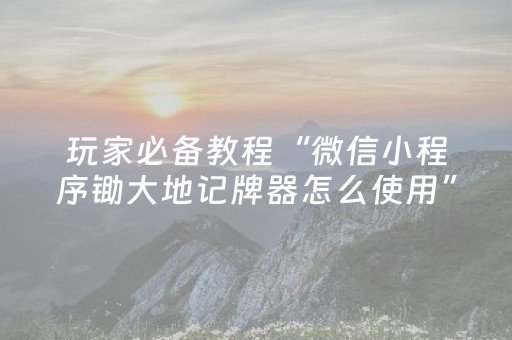 玩家必备教程“微信小程序锄大地记牌器怎么使用”（怎么增加胜率)